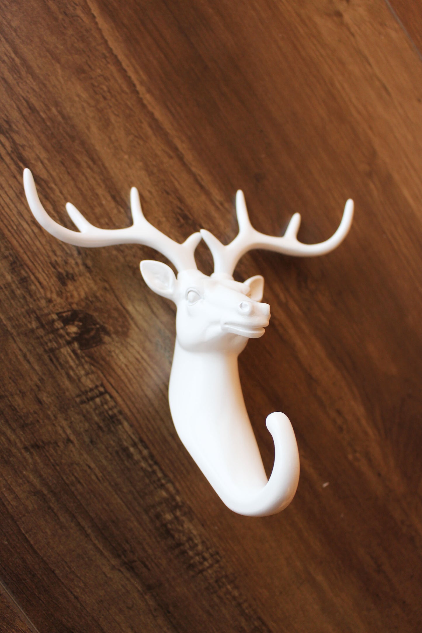Animal Wall Hooks