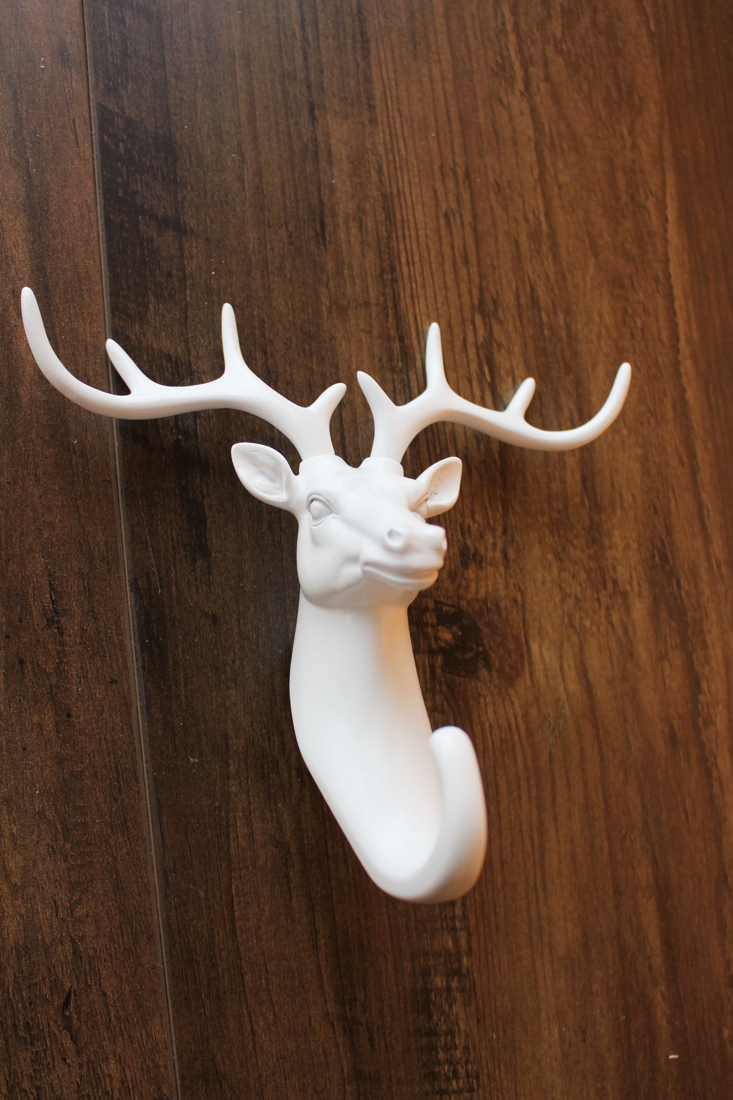Animal Wall Hooks